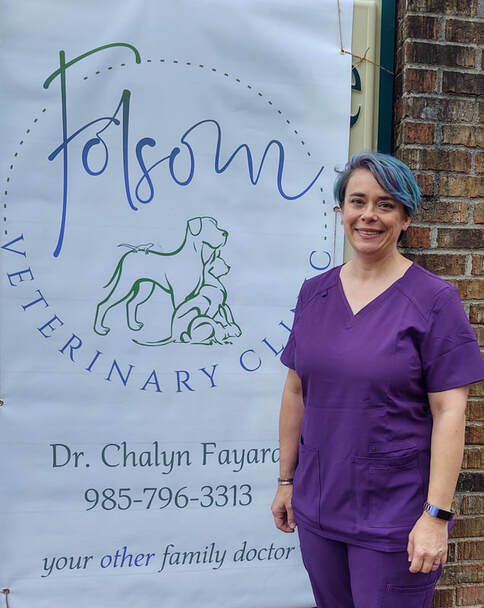 Folsom Veterinary Clinic